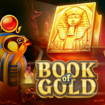 BOOK OF GOLD